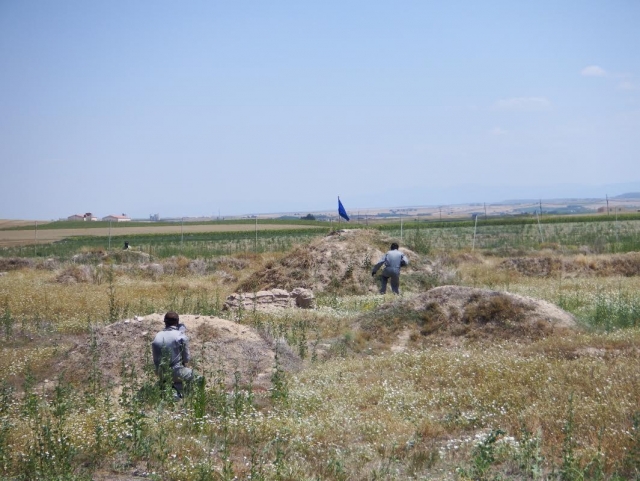 Campo de bandera azul